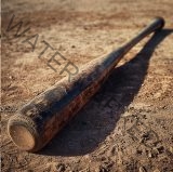 The Orphan's Toothpick. It looked small in the hands of the major league slugger Sultan Prince. And it looked like an ordinary bat.